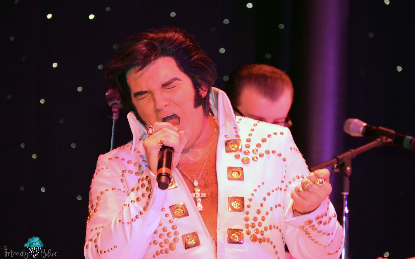 Dwight Icenhower - Elvis Cruise 2018